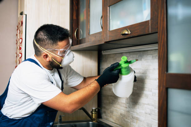 Reliable Balmville, NY Pest Control Solutions