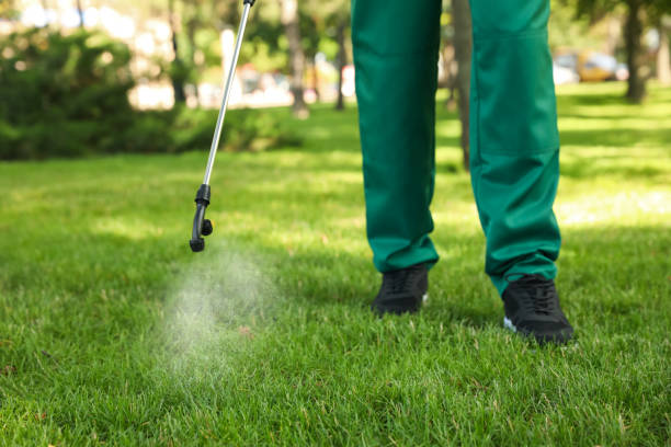 Best Residential Pest Control  in Balmville, NY