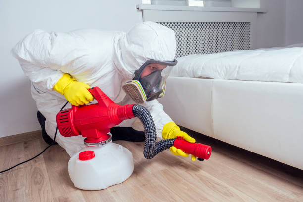 Best Local Pest Control Services  in Balmville, NY