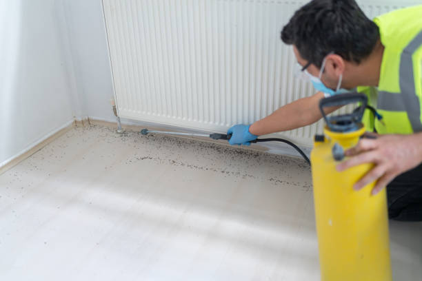 Best Exterminator Services  in Balmville, NY