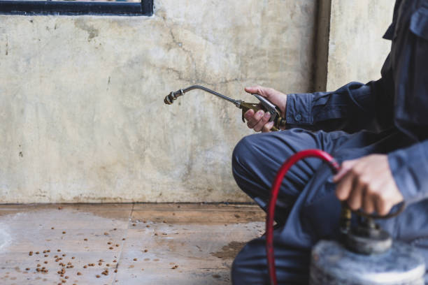 Best Rat Extermination Near Me  in Balmville, NY