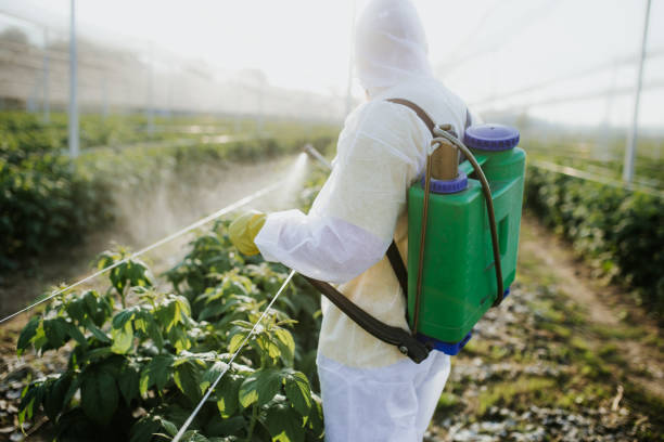 Best Pest Removal Services  in Balmville, NY